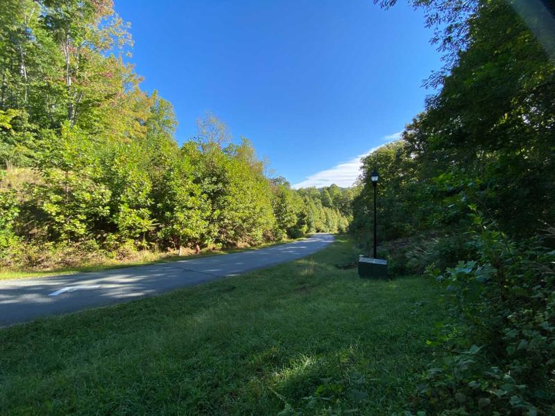 Blue Heron Point Lot 46 - Image# 4