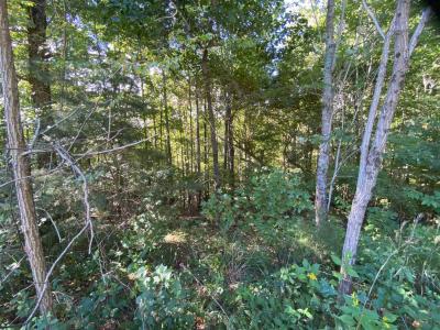 Blue Heron Point Lot 46 - Image# 6