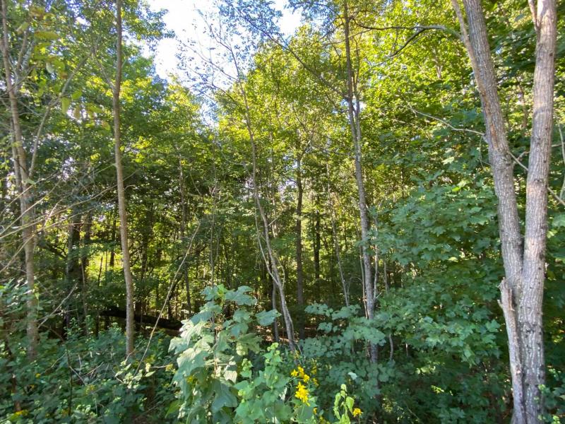 Blue Heron Point Lot 46 - Image# 7