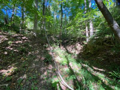 Blue Heron Point Lot 46 - Image# 11