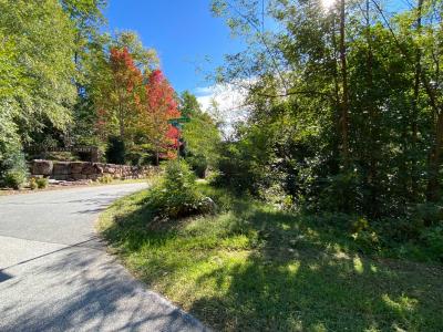 Blue Heron Point Lot 46 - Image# 12
