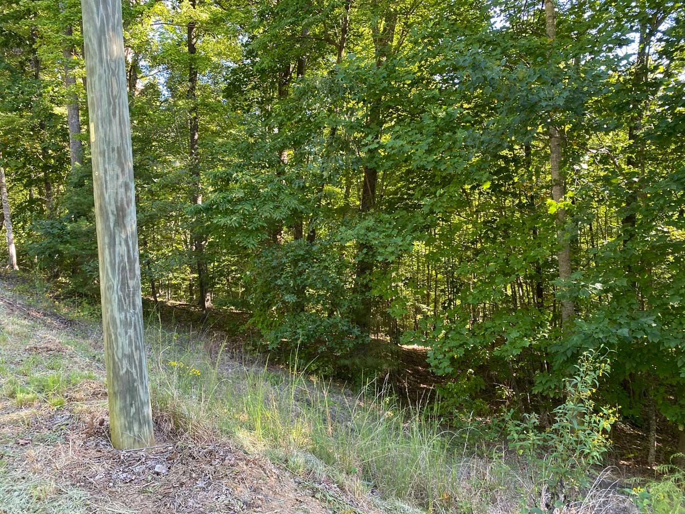 Blue Heron Point Lot 46 - Image# 13
