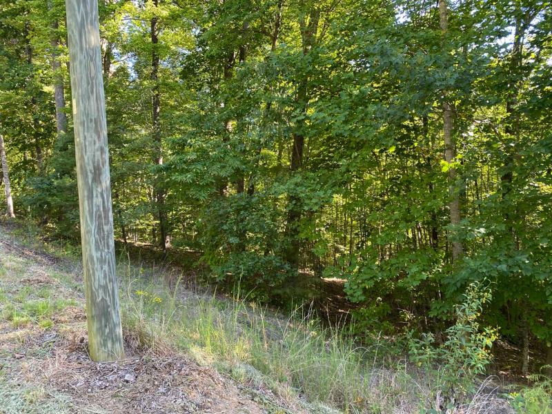Blue Heron Point Lot 46 - Image# 13