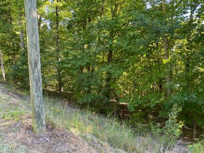 Blue Heron Point Lot 46 - Image# 13