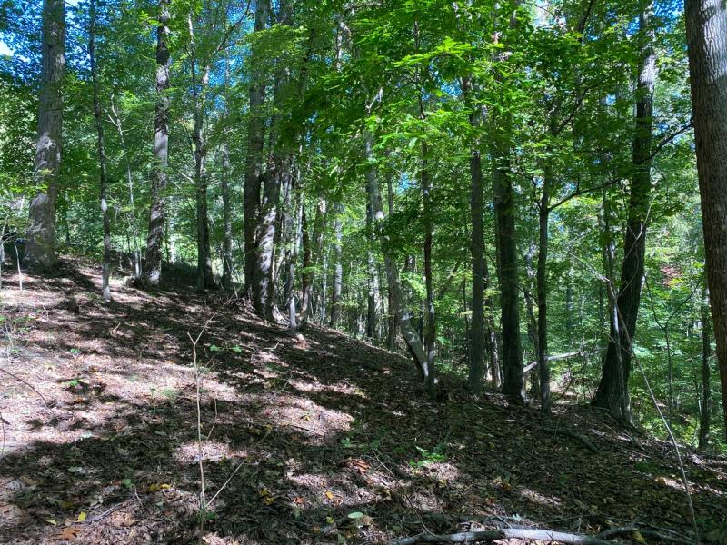 Blue Heron Point Lot 46 - Image# 15