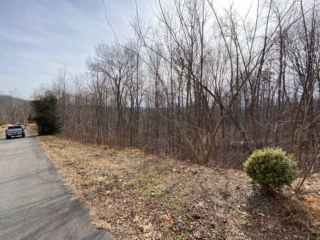 Blue Heron Point Lot 46 - Image# 16