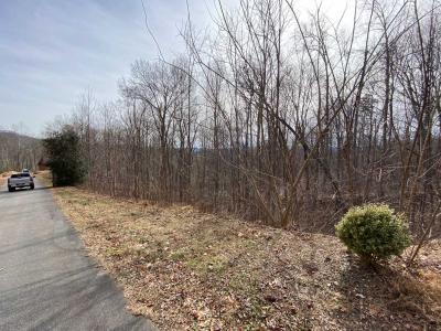 Blue Heron Point Lot 46 - Image# 16