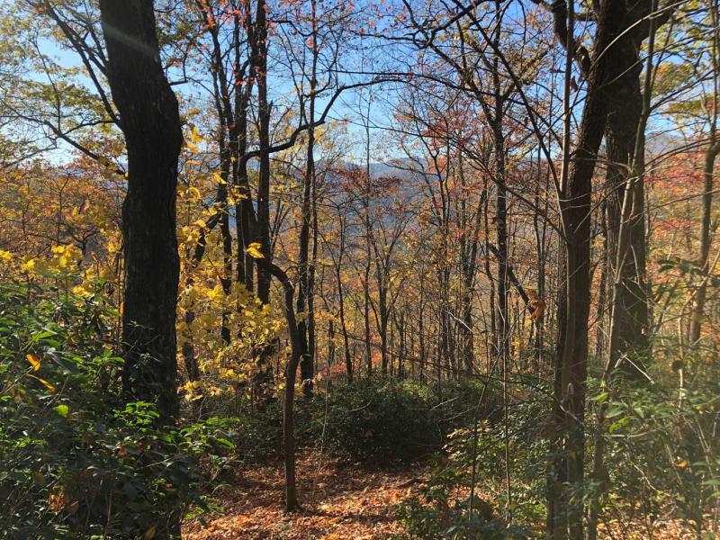 Shumont Road 3.46 acres - Image# 1