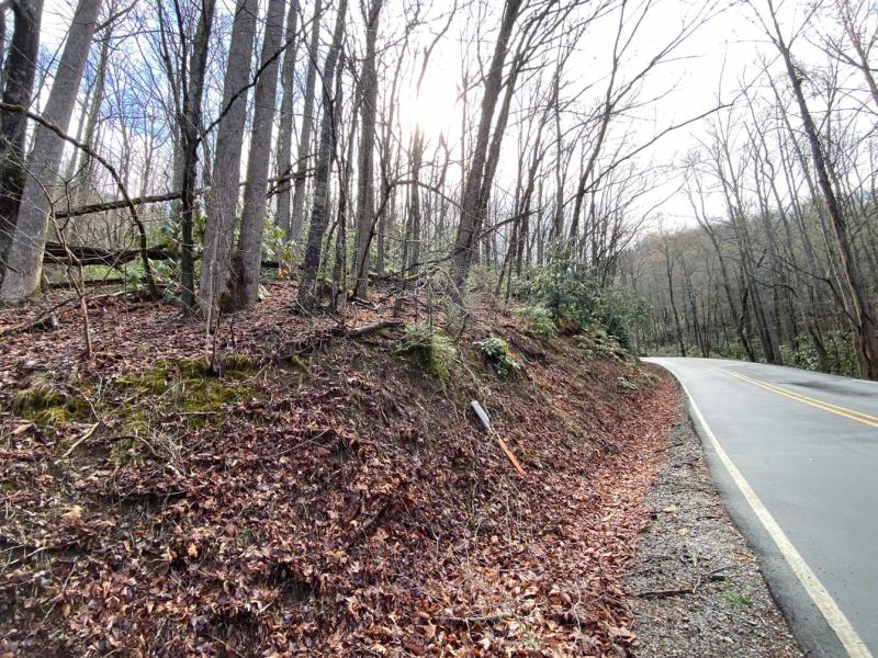 Shumont Road 3.46 acres - Image# 15