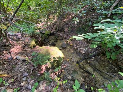 Lake Lure 11 acres