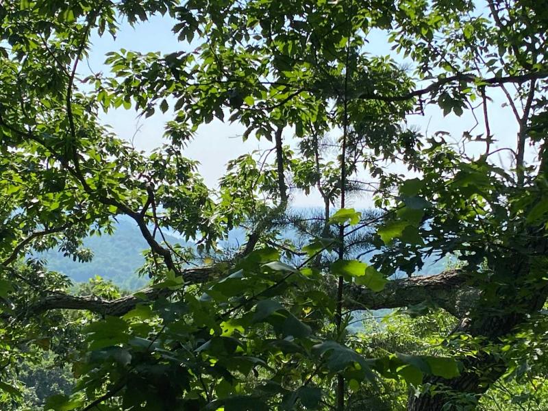 Lake Lure 11 acres - Image# 2
