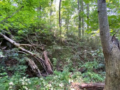 Lake Lure 11 acres - Image# 3