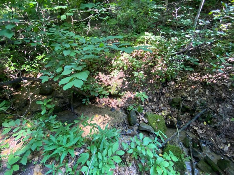 Lake Lure 11 acres - Image# 4