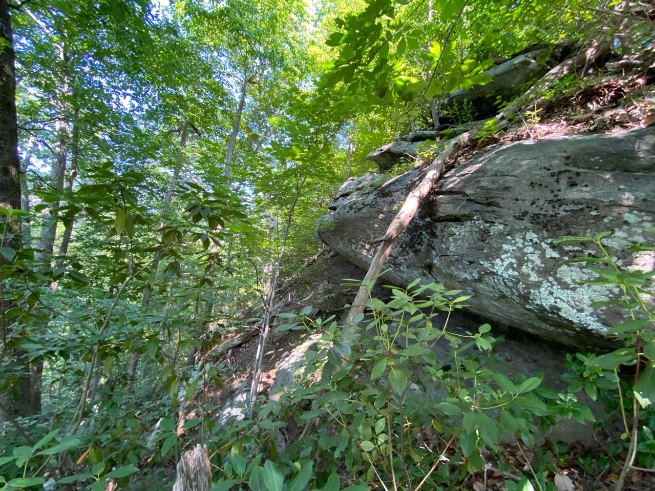 Lake Lure 11 acres - Image# 5