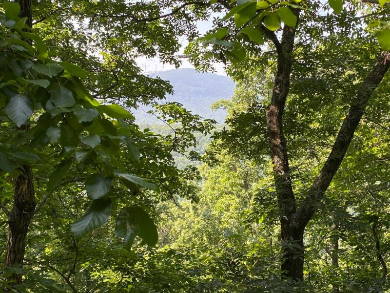 Lake Lure 11 acres - Image# 6