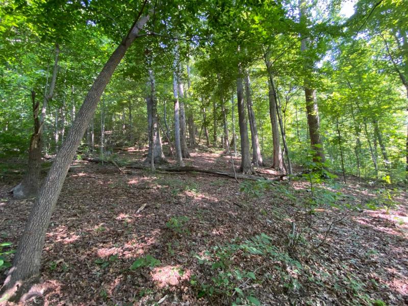 Lake Lure 11 acres - Image# 11