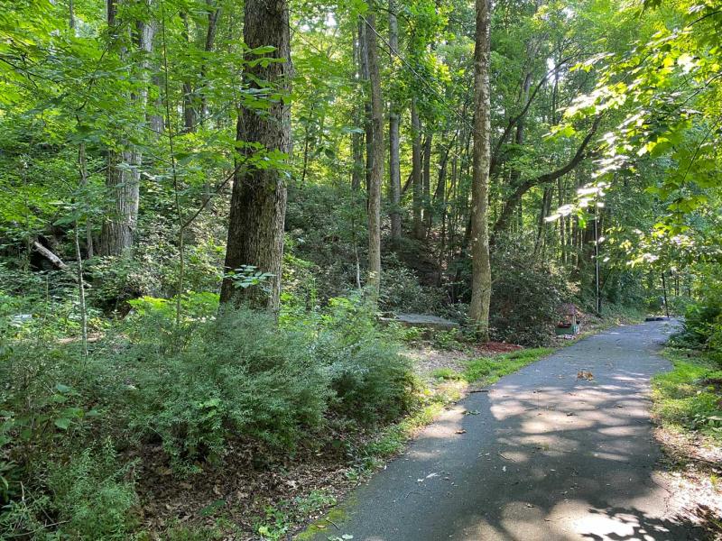 Lake Lure 11 acres - Image# 16