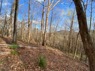 Lake Lure 11 acres - Image# 19