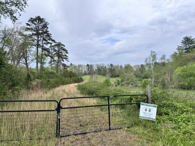 Asheville 28 Acres - Image# 7