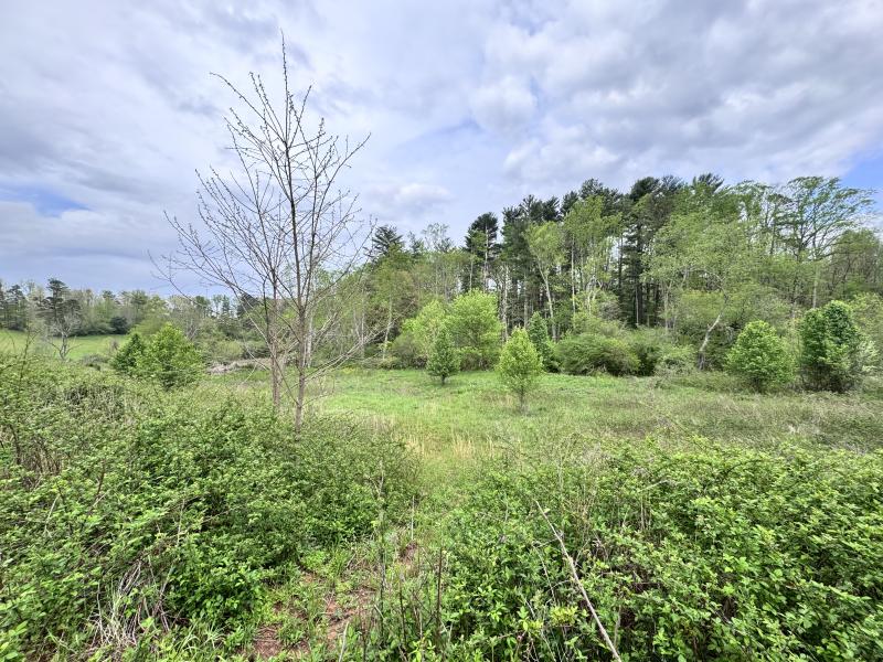 Asheville 28 Acres - Image# 38