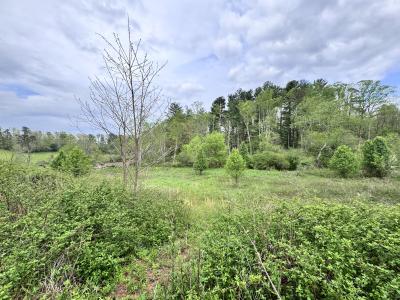 Asheville 28 Acres - Image# 38