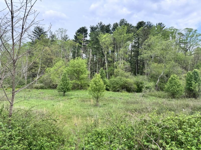 Asheville 28 Acres - Image# 8