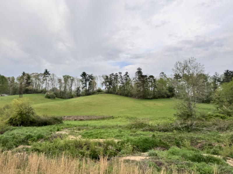 Asheville 28 Acres - Image# 13