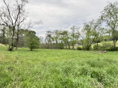 Asheville 28 Acres - Image# 34