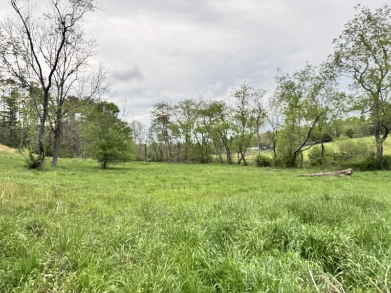 Asheville 28 Acres - Image# 12