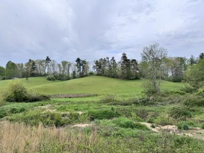 Asheville 28 Acres - Image# 9