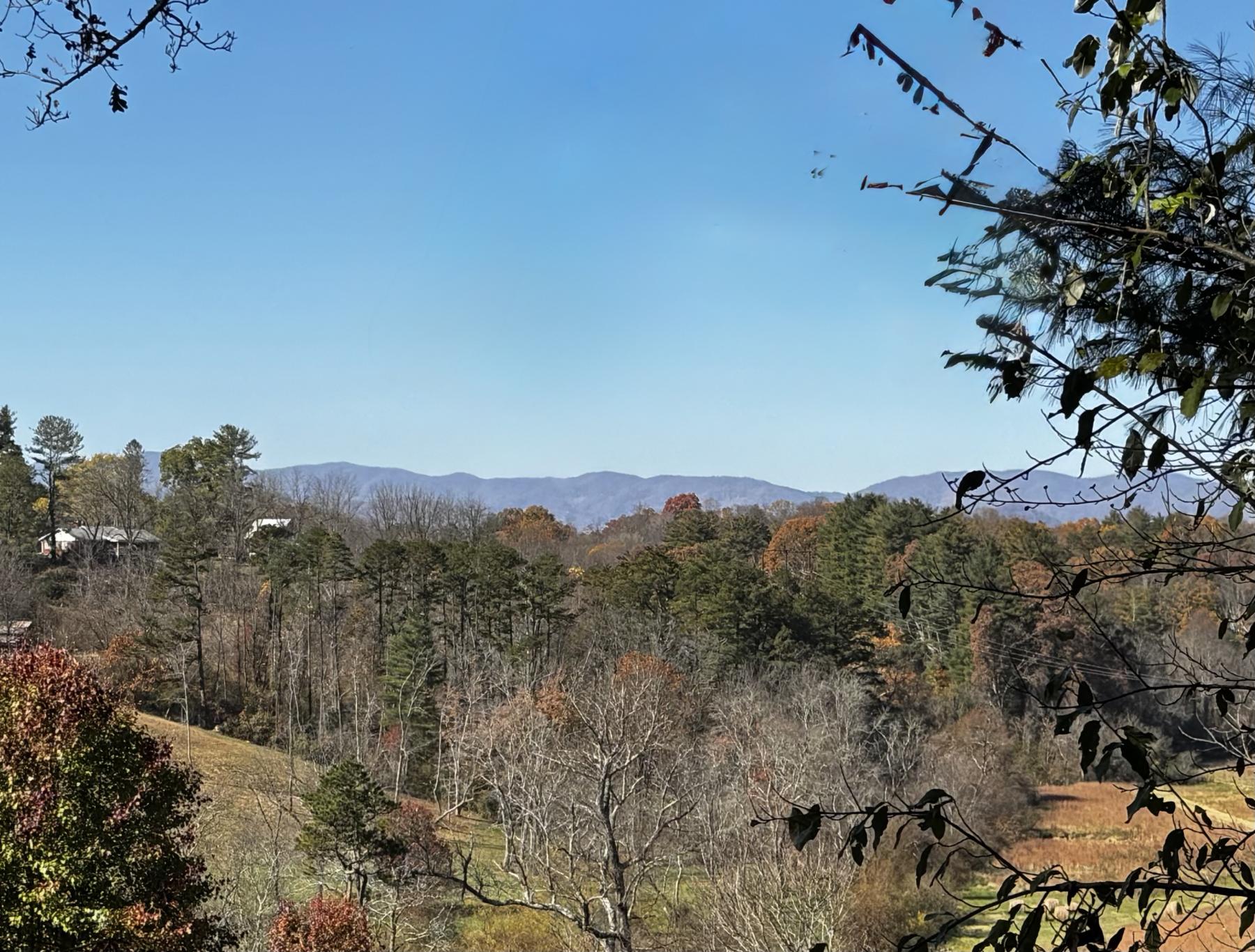 Asheville 28 Acres - Image# 6