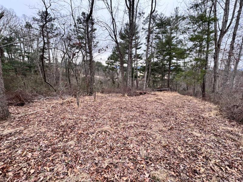 Asheville 28 Acres - Image# 19