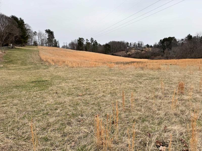 Asheville 28 Acres - Image# 26