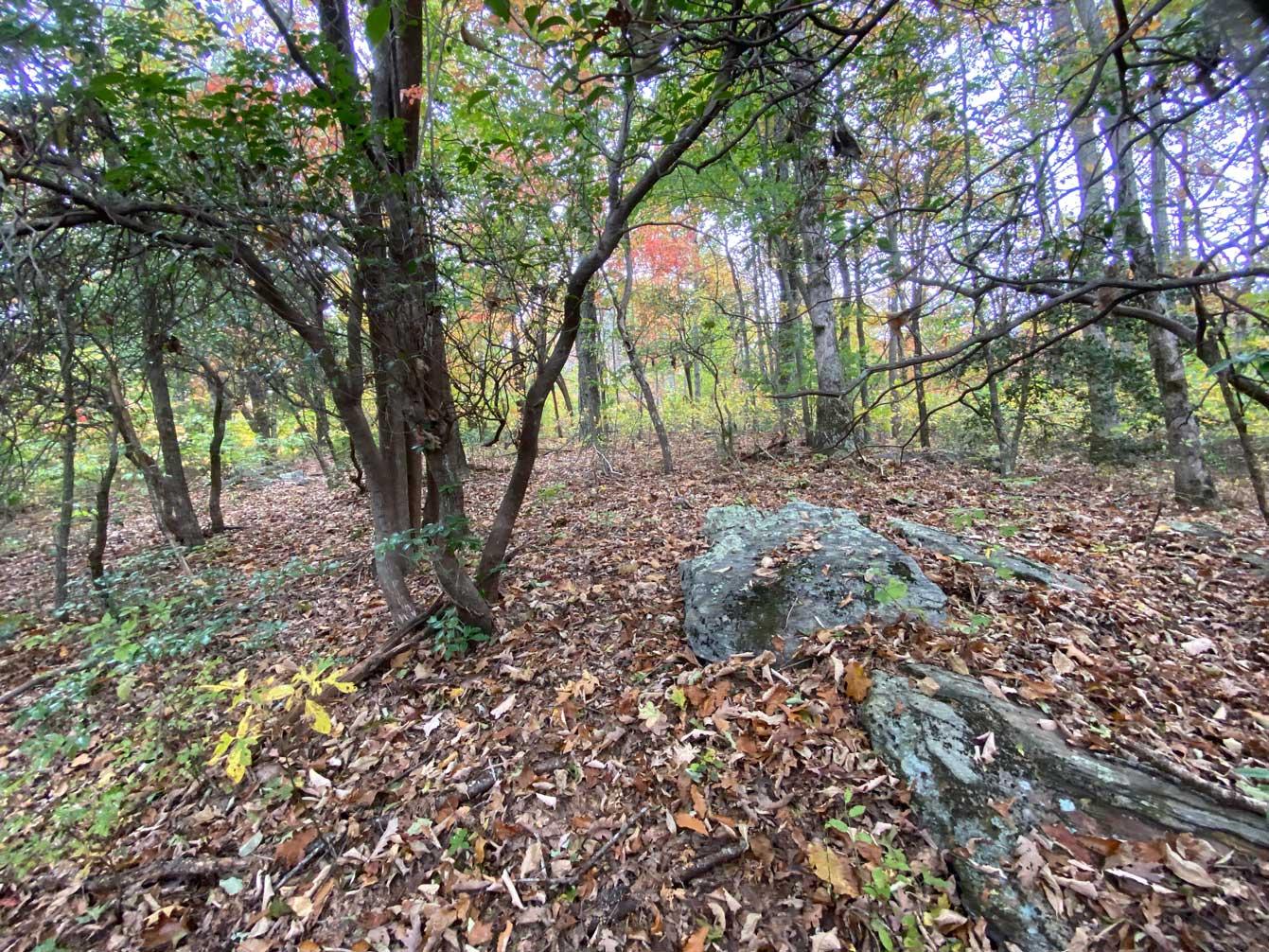 Pinnacle Falls - Image# 6