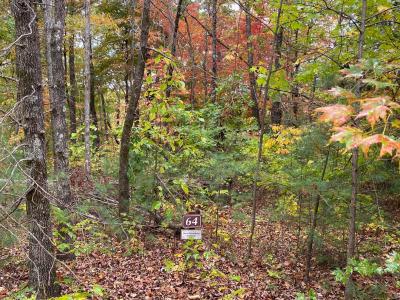 Pinnacle Falls - Image# 11