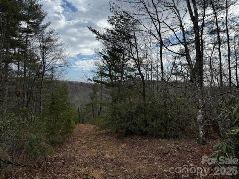 Edneyville 10 Acres - Image# 38