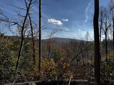 Edneyville 10 Acres