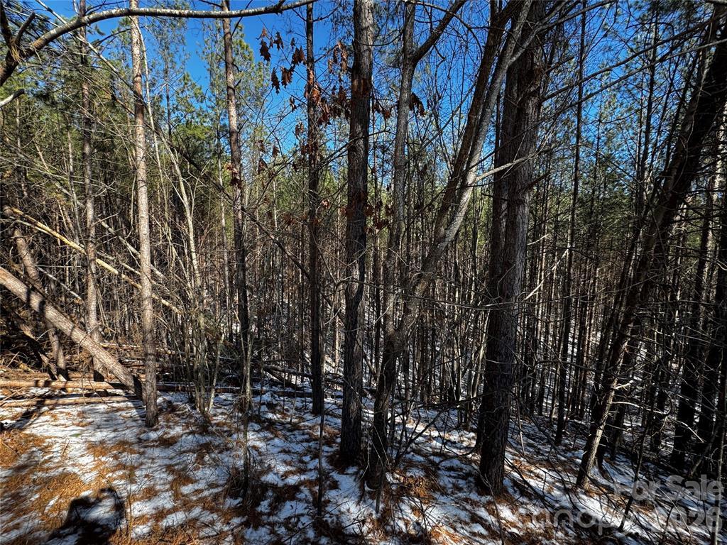 Contuck Preserve Lot - Image# 1