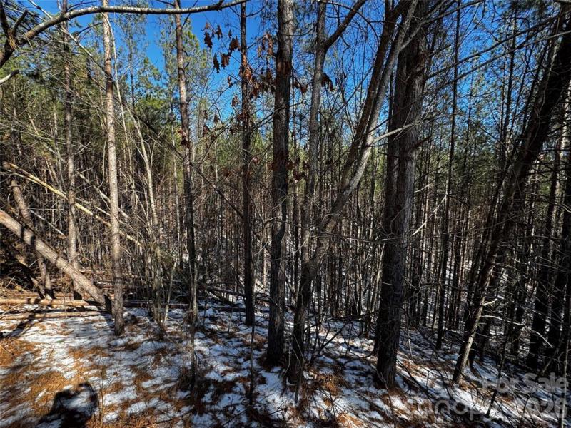 Contuck Preserve Lot - Image# 1