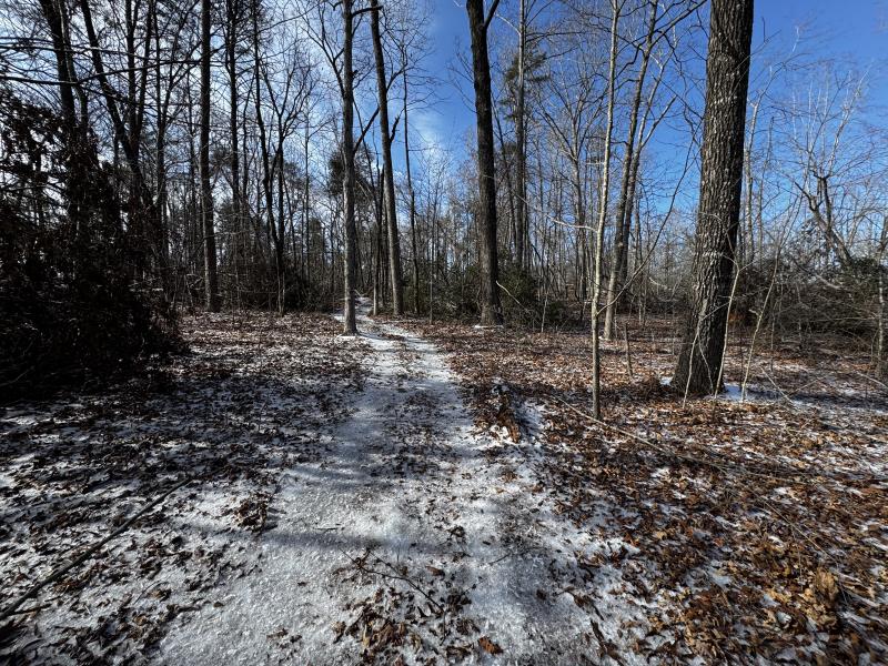 170 Acres WNC - Image# 7