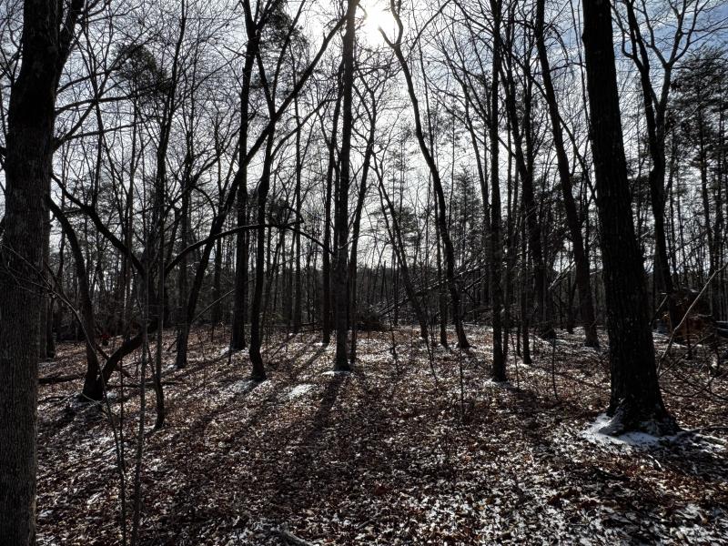 170 Acres WNC - Image# 8