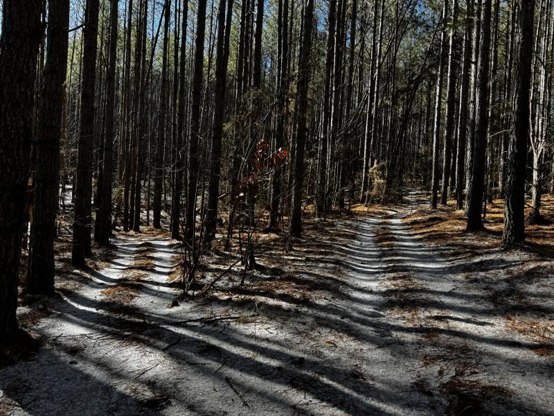 170 Acres WNC - Image# 14