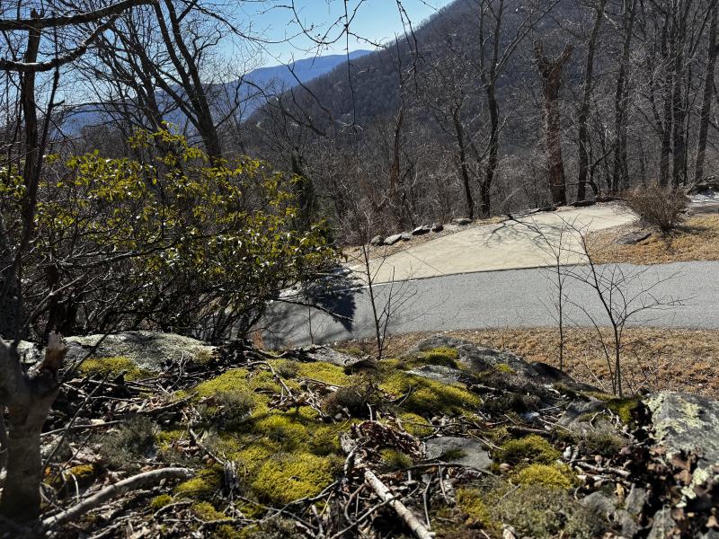 Laurel Ridge Lot - Image# 11