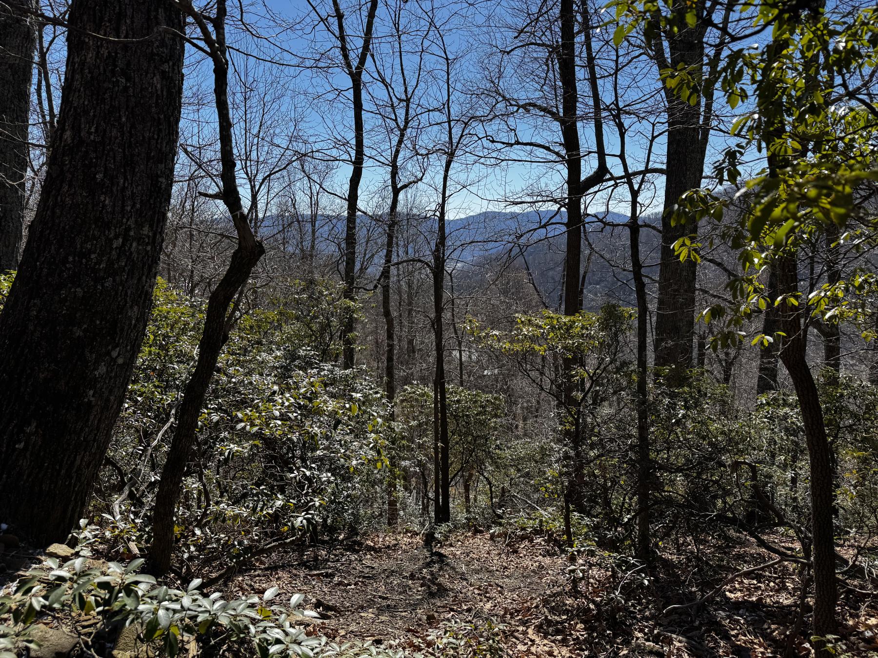 Laurel Ridge Lot - Image# 5