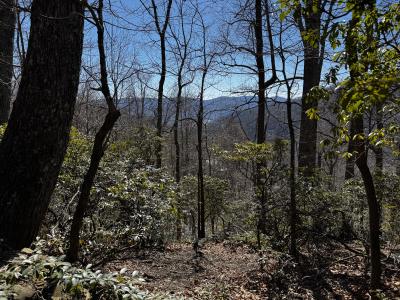 Laurel Ridge Lot - Image# 5
