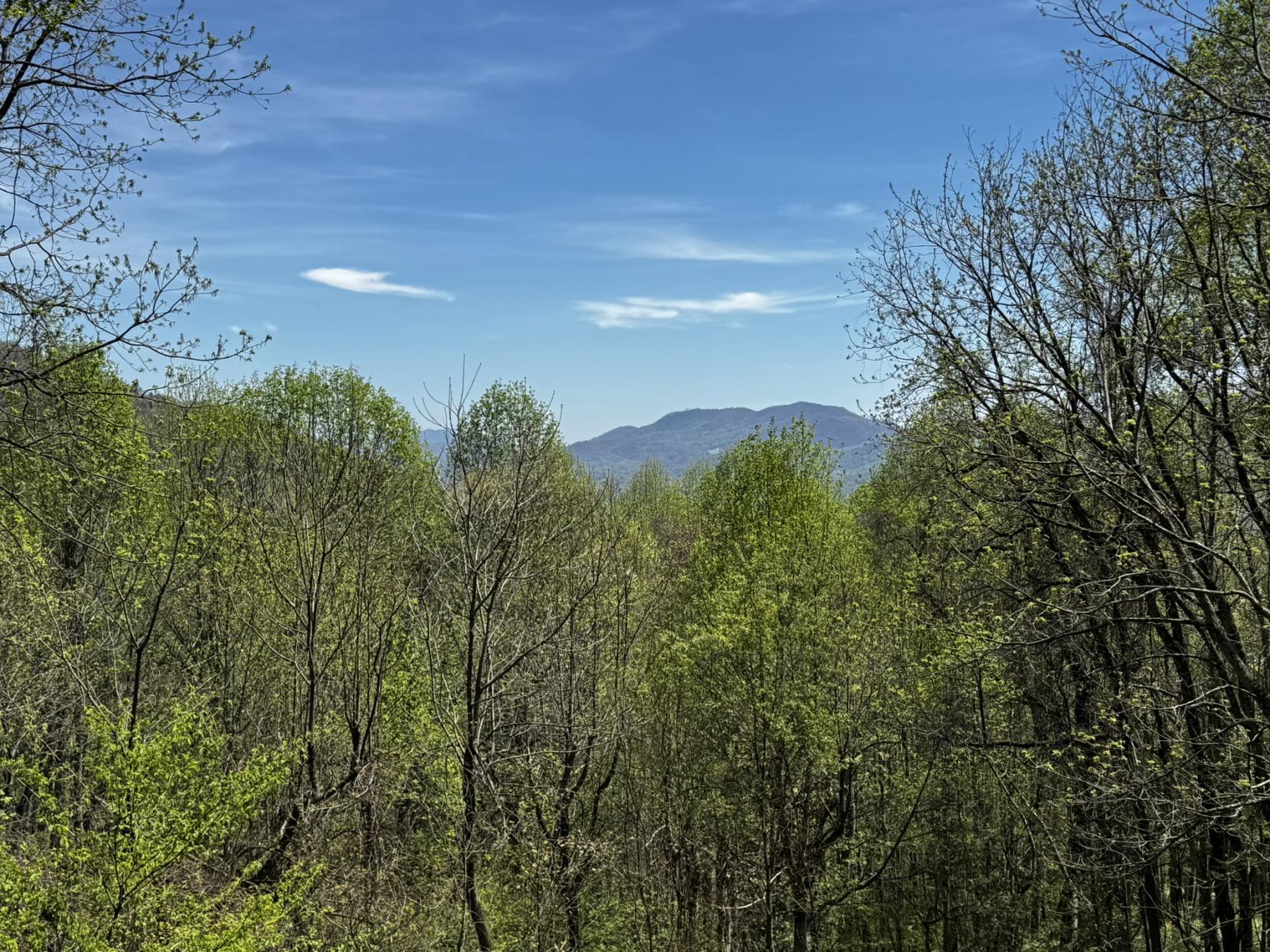 Waynesville Year Round Views - Image# 6