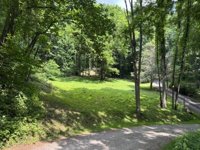 Waynesville LOT
