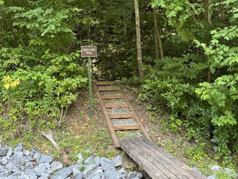 High Hickory Lot - Image# 17