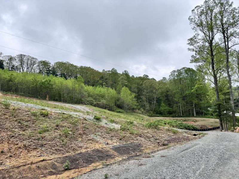 Flat Rock Estate land - Image# 20