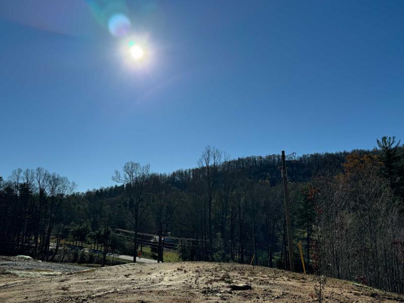 Flat Rock Estate land - Image# 9